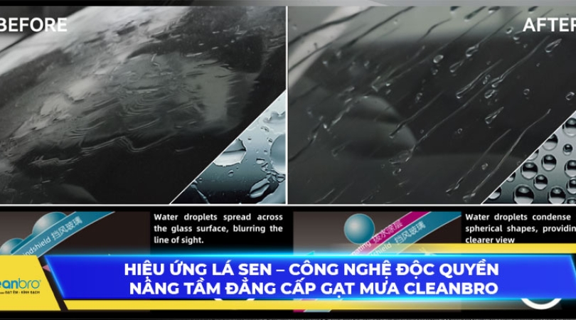 HIỆU ỨNG LÁ SEN – CÔNG NGHỆ ĐỘC QUYỀN NÂNG TẦM ĐẲNG CẤP GẠT MƯA CLEANBRO